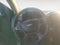 2022 Chevrolet Colorado Crew Cab Short Box 4-Wheel Drive Z71