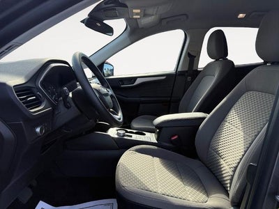 2022 Ford Escape SE FWD