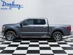 2023 Ford F-150 XLT 4WD SuperCrew 5.5' Box