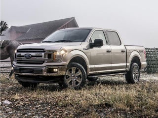 2019 Ford F-150 XLT 4WD SuperCrew 5.5' Box